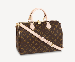 LOUISVUITTON スピーディ・バンドリエール 30