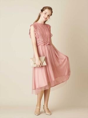 Aimer レーストップス×チュールワンピースドレス