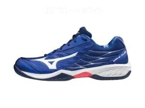 MIZUNO バドミントンシューズ ウエーブクロー スペシャルエディション