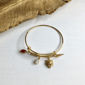 Brooklyn Charm アゲート×タイガーFaceアローフープバングルM(1780J0107)