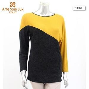 Arte Soie Lux カラーブロッキングニットプルオーバー
