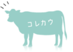 オリジナル 衣装