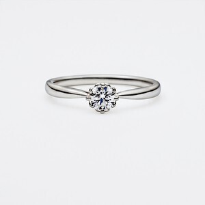 Vendome Aoyama Bridal First Meet　AE--9040