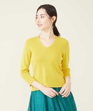 Sybilla シーアイランドコットンVネックニットプルオーバー