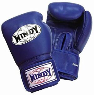WINDY ボクシンググローブ 本革製 16オンス
