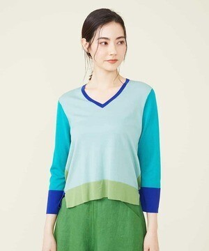 Sybilla カラーブロックVネックニットプルオーバー