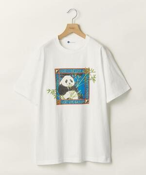 info. BEAUTY&YOUTH ＜info. BEAUTY&YOUTH＞ アニマル プリント クルーネックTシャツ
