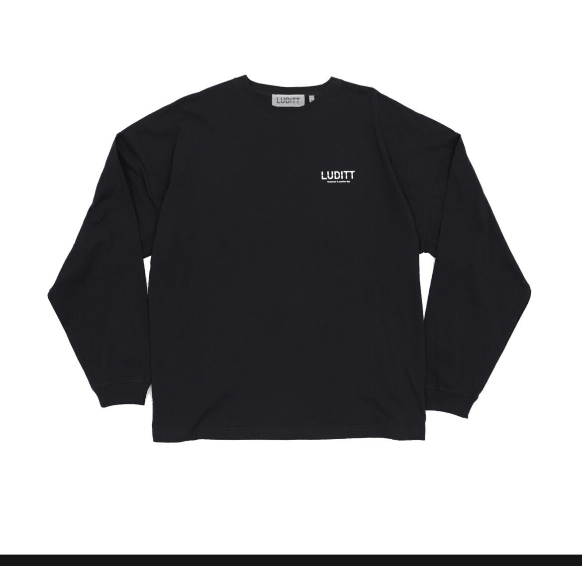 LUDITT BIG SILHOUETTE LONG SLEEVE T-SHIRT