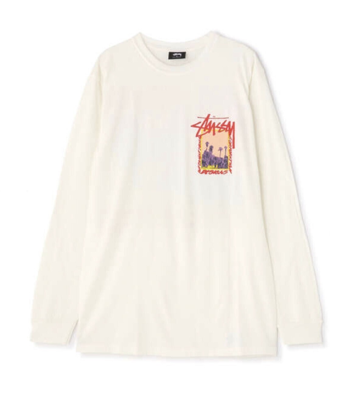 STUSSY パームデザートロングスリーブTシャツ