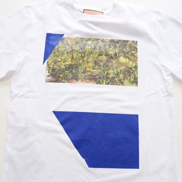 PLAN C Print Tシャツ