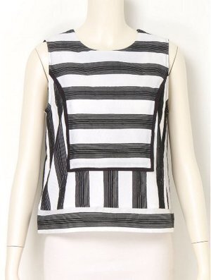 avie シアーボーダースリーブレスブラウス