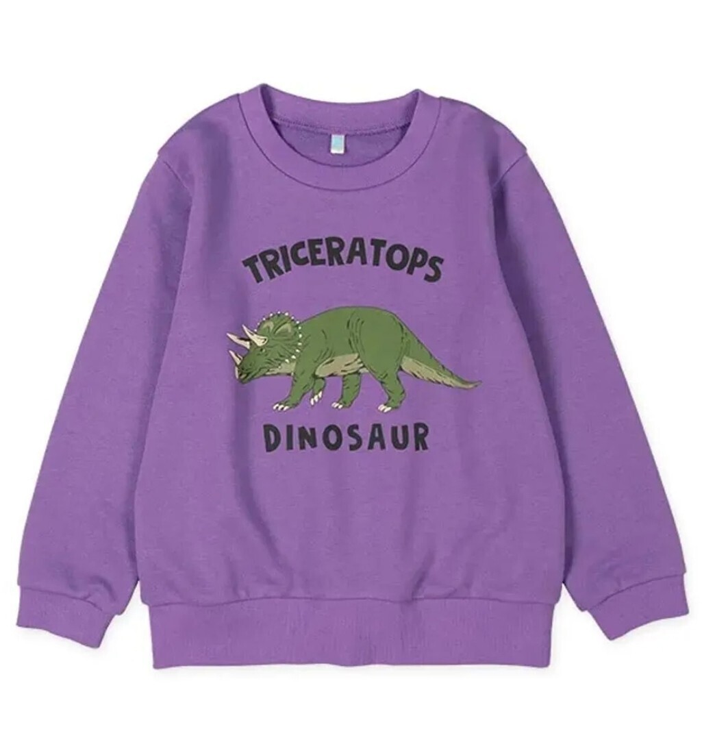 西松屋 Dinosaur Print Lining Long Sleeve Top
