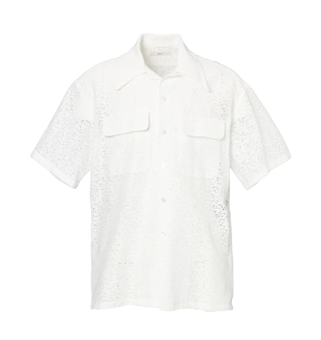 DDDD Sheer Lace Collar