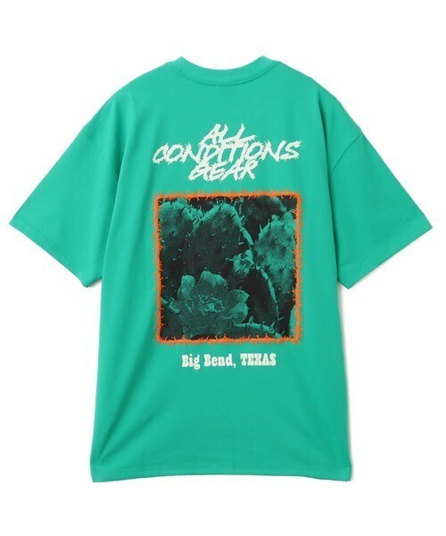 NIKE ACG OC カクタス S/S Tシャツ