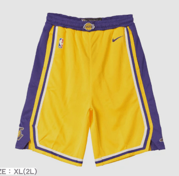NIKE ICON SWINGMAN PNT