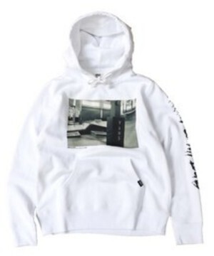 VANS SK8 PARK PHOTO PULL OVER HOODY
