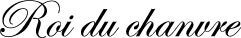 Roi du chanvre アクリルとパイプのネックレス