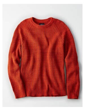 American Eagle Outfitters AEOリブクルーネックセーター