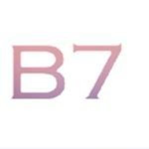 B7 ビスチェ風セットアップ