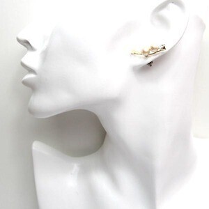 SALON Pierce　No. TS5PF309