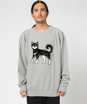 ALDIES Shiba Trainer