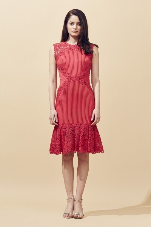 TADASHI SHOJI ピンタック レース切替ドレス