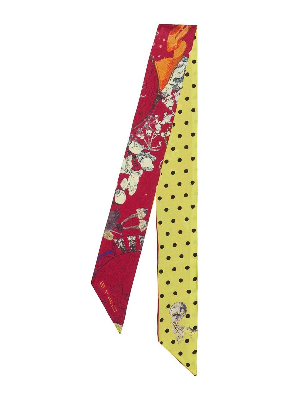 ETRO Reversible silk paisleyina
