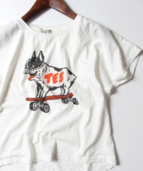 The Endless Summer TES SKATE BUHI-T