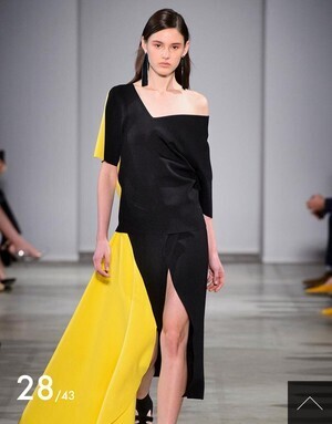 ANTEPRIMA Spring/Summer 2018 COLLECTION skirt
