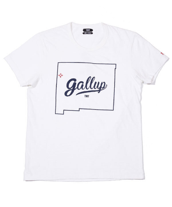 TMT S/SL 19/1 RAFI JERSEY(GALLUP)