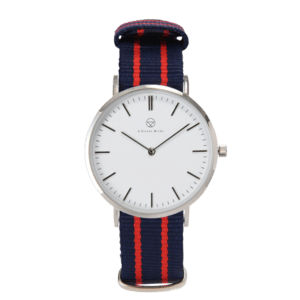4 Silent Birds ​HUMMING BIRDS / PATAGONA 36MM / NATOSTRAP