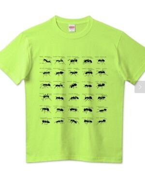 T-SHIRTS TRINITY 蟻シルエット 日本産30種