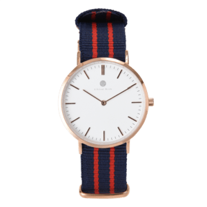 4 Silent Birds ​HUMMING BIRDS / MANGOE 36MM / NATOSTRAP
