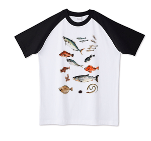 Tシャツトリニティ 虹色のいろえんぴつ 魚図鑑