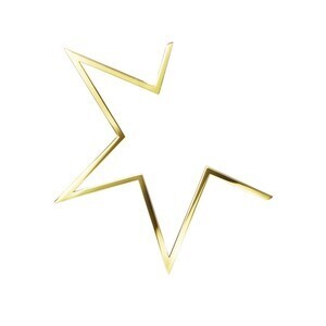 TASAKI abstract star Earring