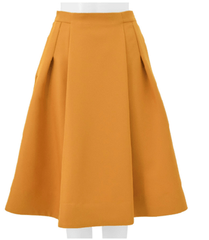 Chesty Flare Color Skirt