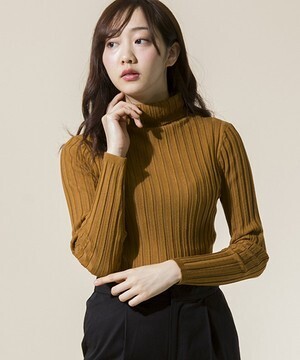 MAISON TOKYO シャドーリブタートルプルオーバーェイフェリー