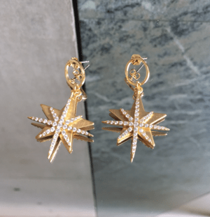 Brooklyn Charm シャイニースターサークルフレームキャッチピアス(4780J0120)