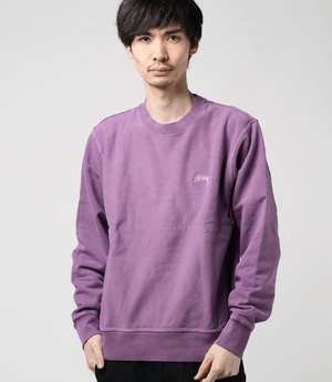 STUSSY Stock Logo Crew
