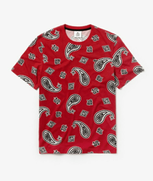 LACOSTE ペイズリープリントTシャツ