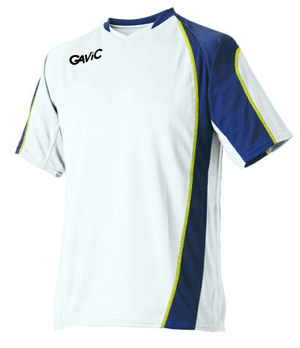 GAVIC ゲームトップ