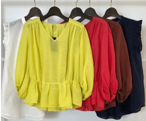 Brahmin Blouse