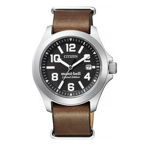 CITIZEN PROMASTER