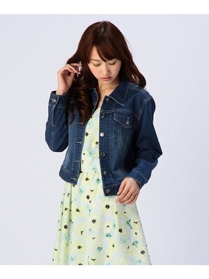 LAISSE PASSE ﾃﾞﾆﾑGｼﾞｬﾝ