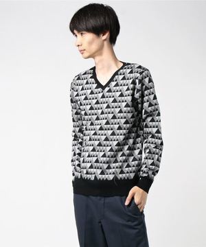 TETE HOMME マウンテンVネックニット
