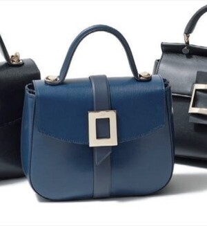 Roger Vivier beau vivier