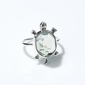Enasoluna KAME ring