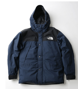 THE NORTH FACE MOUNTAIN DOWN JACKET
