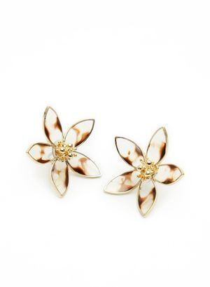 ROOM plumeria pierce