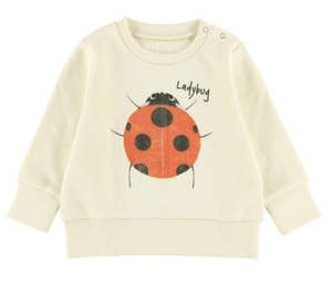 INSECT COLLECTION てんとうむしちゃんプリントスウェット キッズ